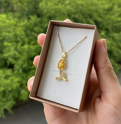 COLLAR ESPECIAL